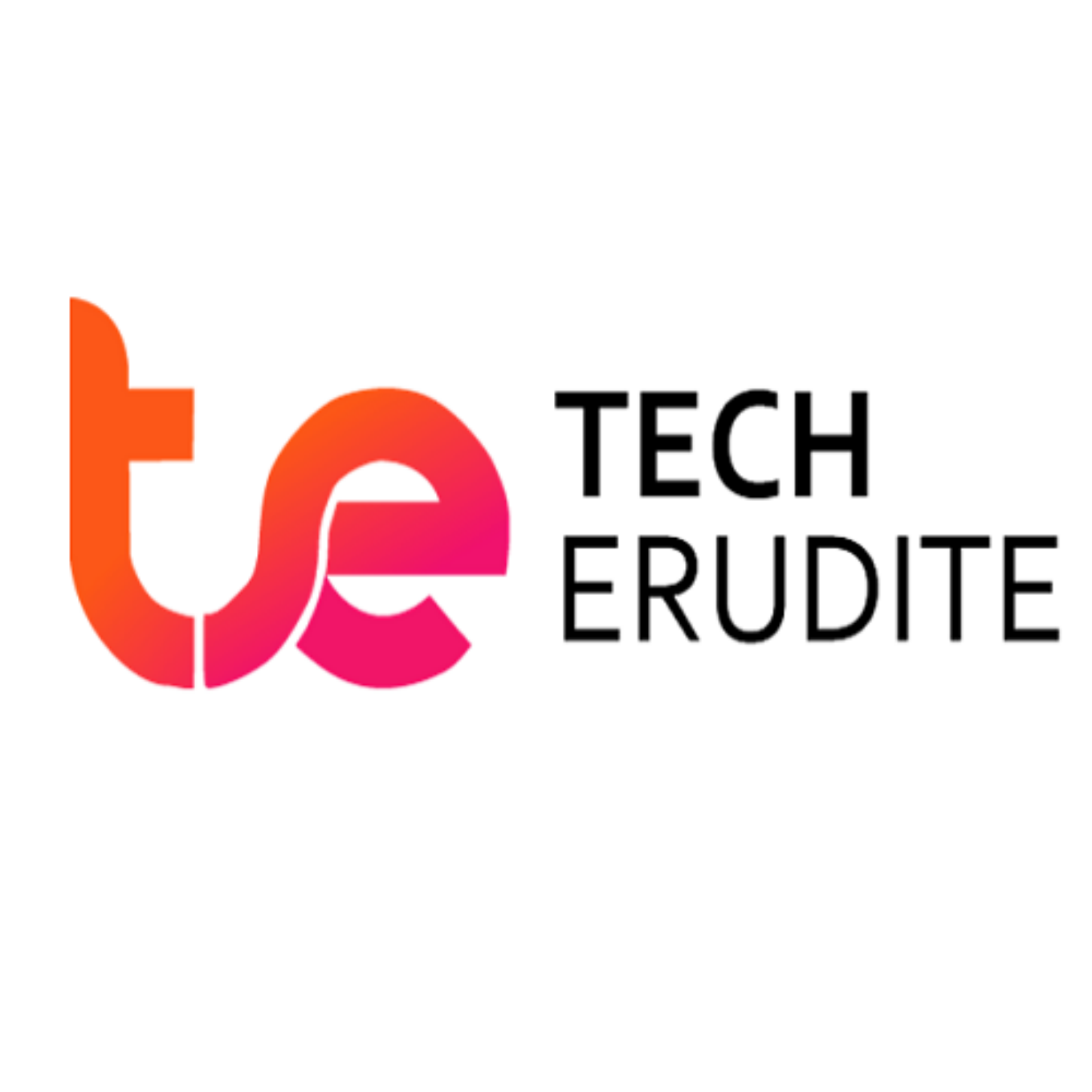 https://softwareprofessionals.co.in/company/techerudite