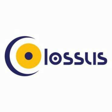 https://softwareprofessionals.co.in/company/colossus-nexus-pvt-ltd